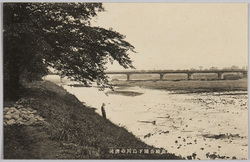 高崎公園下烏川の清流 / Shitakarasu River in Takasaki Park image