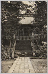 高崎　頼政神社 / Yorimasajinja Shrine in Takasaki image