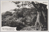 見明台/Kenmyōdai  image