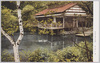水温む春の池畔/Pondside View in Spring Time image
