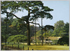 六義園/Rikugien Garden image