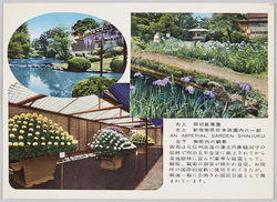 堀切菖蒲園 新宿御苑日本庭園の一部 / Horikiri Iris Garden, Part of the Japanese Garden of the Shinjukugyoen image