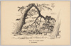 ２．赤坂見付付近　ノエル・ヌエット/画/Akasakamitsuke District, Sketched by Noel Nouet image