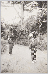 (伊豆大島風俗)山帰りの乙女 / (Izu Ōshima Islands, Culture), Girls Coming Back from the Mountain image