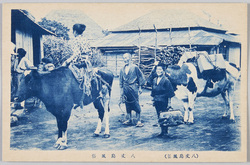 八丈島風景 / Hachijōjima Island Landscape image