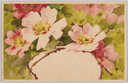植物　絵葉書　野ばら / Plant Painting Postcard: Wild Roses image