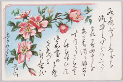 植物　絵葉書　野ばら / Plant Painting Postcard: Wild Roses image