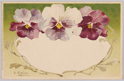 植物　絵葉書　パンジー / Plant Painting Postcard: Pansies image