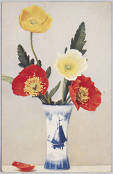 植物　絵葉書　ひなげし / Plant Painting Postcard: Corn Poppies image