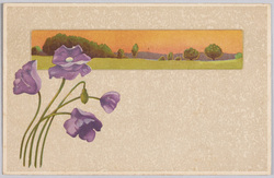 植物　絵葉書　ポピー(紫) / Plant Painting Postcard: Poppies (Purple) image
