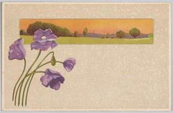 植物 絵葉書 ポピー(紫) / Plant Painting Postcard: Poppies (Purple) image