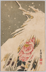 植物　絵葉書　牡丹(雪囲い) / Plant Painting Postcard: Tree Peony (Protected from Snow) image