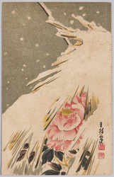 植物 絵葉書 牡丹(雪囲い) / Plant Painting Postcard: Tree Peony (Protected from Snow) image
