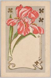 植物　絵葉書　アイリス / Plant Painting Postcard: Iris image