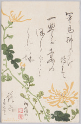 植物 絵葉書 博文館 女学世界附録絵端書 / Plant Painting Postcard: Picture Postcard, Supplement to "Jogaku Sekai," Hakubunkan Publishers image