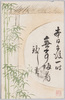 植物　絵葉書　笹竹と庵　博文館　女学世界附録絵端書/Plant Postcard: Bamboo Leaves and Hermitage, Picture Postcard, Supplement to 