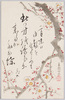 植物　絵葉書　白梅　博文館　女学世界附録絵端書/Plant Postcard: White Plum Blossoms, Picture Postcard, Supplement to 