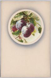 植物　絵葉書　プルーン / Plant Painting Postcard: Prunes image
