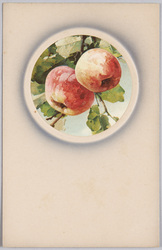 植物　絵葉書　林檎 / Plant Painting Postcard: Apples image