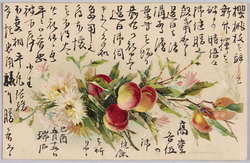 植物　絵葉書　桃、林檎、小菊 / Plant Painting Postcard: Peaches, Apples, and Small Chrysanthemums image