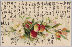 植物 絵葉書 桃、林檎、小菊 / Plant Painting Postcard: Peaches, Apples, and Small Chrysanthemums image