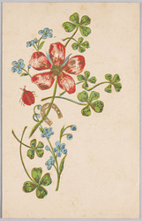 植物　絵葉書　かたばみ、忘れな草、てんとう虫、蹄鉄 / Plant Painting Postcard: Creeping Woodsorrel, Forget-Me-Nots, Ladybird, and Horseshoe image