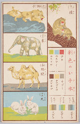 動物絵葉書　彩色のお手本　猿、獅子、象、駱駝、兎 / Animal Postcard: Coloring Samples, Monkeys, Lions, Elephant, Camel, and Rabbits image