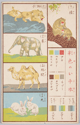 動物絵葉書 彩色のお手本 猿、獅子、象、駱駝、兎 / Animal Postcard: Coloring Samples, Monkeys, Lions, Elephant, Camel, and Rabbits image