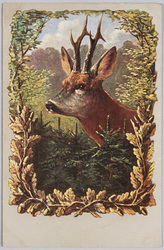 動物絵葉書　雄鹿 / Animal Postcard: Stag image