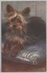 動物絵葉書　テリア犬 / Animal Postcard: Terrier image