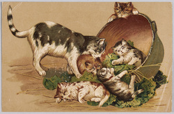 動物絵葉書　猫と鍋 / Animal Postcard: Cats and Pot image