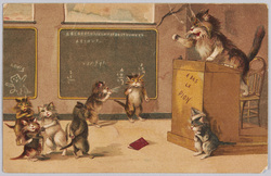 動物絵葉書　猫の授業 / Animal Postcard: Anthropomorphic Cats at School image