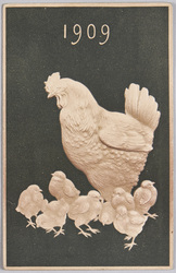 動物絵葉書　めんどりとひよこ(1909) / Animal Postcard: Hen and Chicks (1909) image