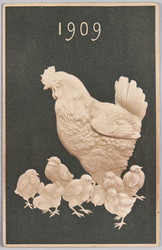 動物絵葉書 めんどりとひよこ(1909) / Animal Postcard: Hen and Chicks (1909) image