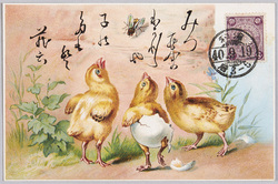 動物絵葉書　ひよこ　蠅 / Animal Postcard: Chicks and Fly image