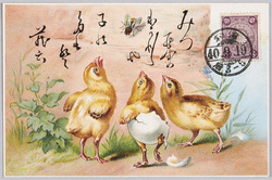 動物絵葉書 ひよこ 蠅 / Animal Postcard: Chicks and Fly image