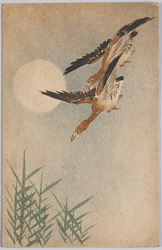 動物絵葉書　雁 / Animal Postcard: Wild Geese image
