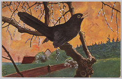 動物絵葉書　猫柳に烏 / Animal Postcard: Pussy Willow and Crow image