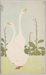動物絵葉書　あひる　中学世界絵葉書 / Animal Postcard: Ducks, "Chūgaku Sekai," Picture Postcard image