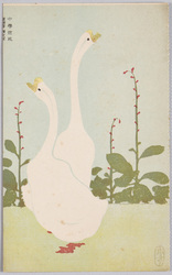 動物絵葉書 あひる 中学世界絵葉書 / Animal Postcard: Ducks, "Chūgaku Sekai," Picture Postcard image
