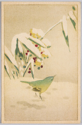 動物絵葉書　雪の庭の小鳥　全国便箋附録 / Animal Postcard: Little Bird in a Snow-Covered Garden, Supplement to National Letter Pad image