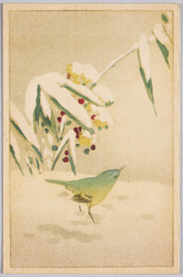 動物絵葉書 雪の庭の小鳥 全国便箋附録 / Animal Postcard: Little Bird in a Snow-Covered Garden, Supplement to National Letter Pad image