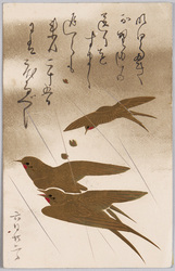 動物絵葉書　燕 / Animal Postcard: Swallows image