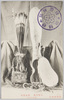 靖国神社遊就館　白猪空穂　猪逆頬箙（関保之助蔵）/Yasukuni Shrine Yūshūkan Museum: Quiver Covered with White Wild Boar Fur, Quiver Covered with Wild Boar Cheek (Private Collection of Seki Yasunosuke) image