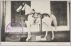 靖国神社遊就館　鞍馬/Yasukuni Shrine Yūshūkan Museum: Saddled Horse image