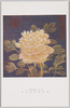 宋刻絲繍線合壁册 朱克柔刻絲牡丹/Song Silk Tapestry, Embroidery Thread Album, Zhu Kerou's Silk Tapestry Moutan image