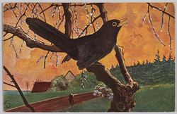 動物絵葉書　猫柳に烏 / Animal Postcard: Pussy Willows and Crow image