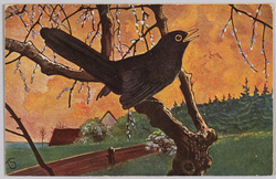 動物絵葉書 猫柳に烏 / Animal Postcard: Pussy Willows and Crow image