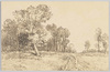 [素描絵葉書　森林]/[Drawing Picture Postcard: Forest] image