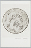 花鳥密陀絵盆/Tray With Mitsuda-e Illustrations of Flowers and Birds image